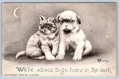 Scared Dog And Cat By Vincent Colby, Monkton, ON Split Ring Cancel 1910 Postcard