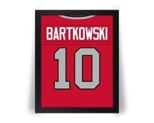 compare to STEVE BARTKOWSKI Atlanta Falcons Photo Picture 8x10 11x14 16x20 JZ