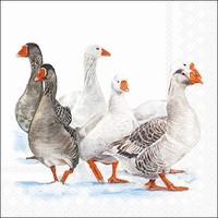 20 Servietten Winter Geese GäNse Im Winter Tiere VöGel Natur Bauernhof 33X33Cm