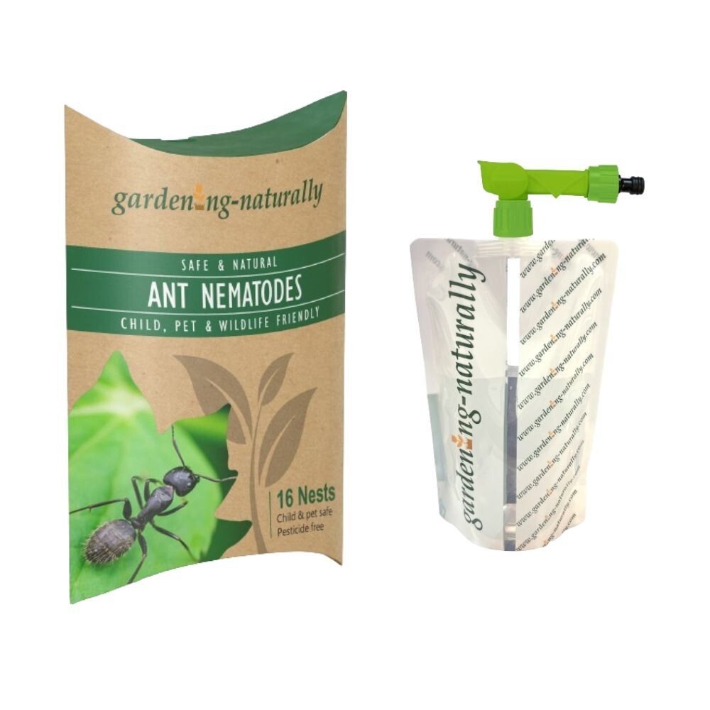 Ant Nematodes 16 Nests Control Ants in Your Garden Includes Nematode Applicator