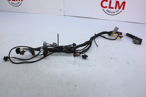 Can-Am engine wiring harness 420266782