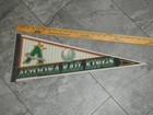 Vintage 1996 Altoona Rail Kings  Minor League Baseball Pennant Defunct — photo 6