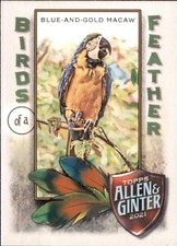 2021 Topps Allen and Ginter MLB Baseball STANDARD INSERT Cards Pick From List