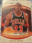 Michael Jordan 23 NBA card, Chicago Bulls 2007-2008 Hot Prospects.  I have six c