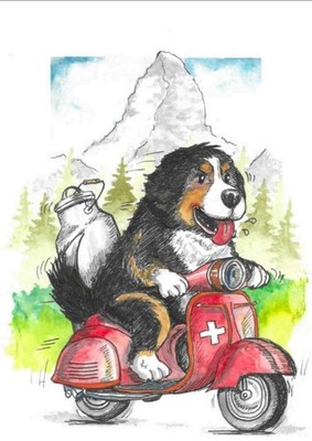 Postkarte der Berner Sennenhund direkt vom Künstler