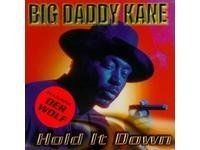 Hold It Down von Big Daddy Kane Feat.der Wolf | CD | Zustand sehr gut