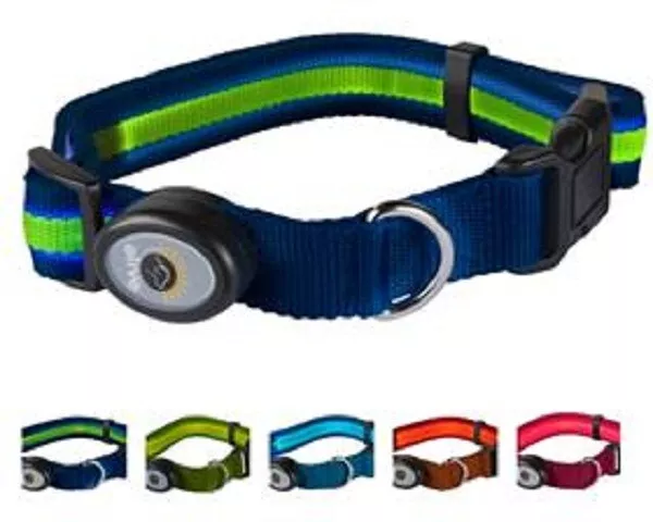Elive 2024 dog collar