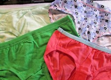 New Hanes,FruitLoom Etc Size 6 Girls' Bikini Briefs 4 Pack Your Choice of Group 