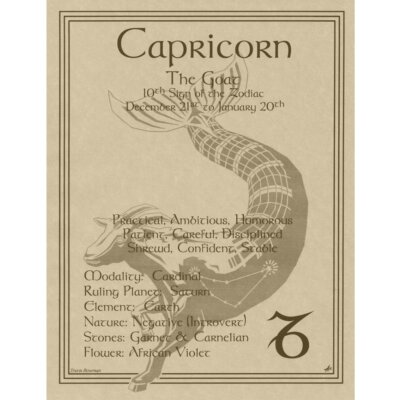 Capricornページ s-l400.jpg