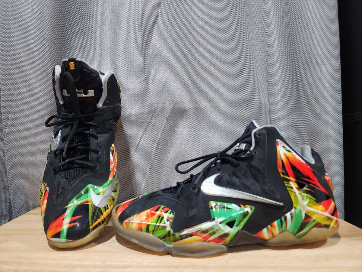 シューズ(男性用) Nike LeBron 11 NIKE LEBRON XI GS EVERGLADES REVERSE KING'S PRIDE BLACK MVP