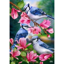 Briarwood Lane Blue Jay Trio House Flag 28x40