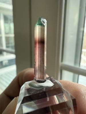 Barra Del Sol Salina Tourmaline Crystal Mineral Specimen 1.48g From Brazil