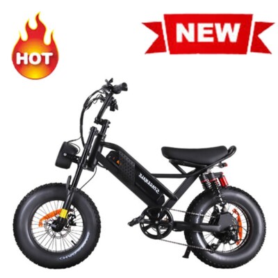 Batterie Vélo Electrique BMZ 36V 16Ah (576Wh) Pour Hoplit Ou E-Voyage - Neuve
