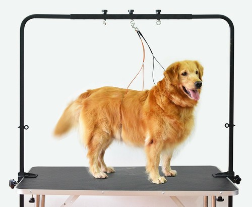 Adjustable overhead pet grooming arm with clamps and harness - For dog grooming - Picture 5 of 7