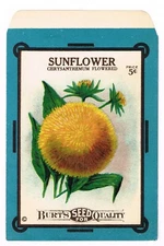 GENUINE VINTAGE CARD SEED PACKET FLORAL C1910 BURT SUNFLOWER GARDENING FOLK ART
