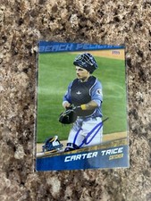 Carter Trice Signed 2024 Myrtle Beach Pelicans Team Set Auto Chicago Cubs #16