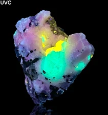 307 Gr. Fluorescent Apatite W/ Fluorescent Phosphorescent Fluorite On Matrix @Pk
