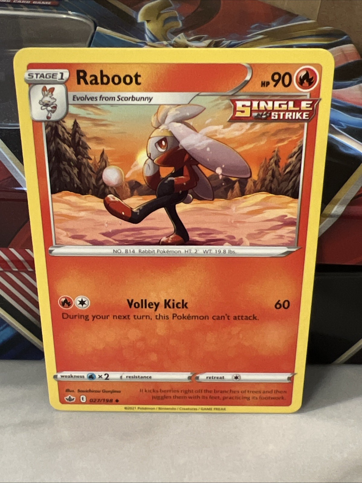 Raboot 27/198 2021 Pokemon TCG Chilling Reign