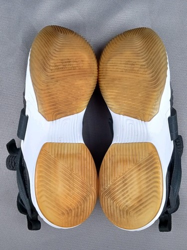 Nike LeBron Soldier 12 SFG Herrenschuh Größe 11 Basketball AO4054-005 König schwarz - Bild 18 von 24