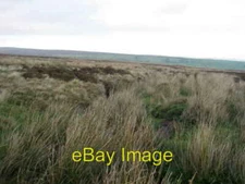 Photo 6x4 Bogs Dike Greygarth This tiny watercourse is almost hidden by m c2006