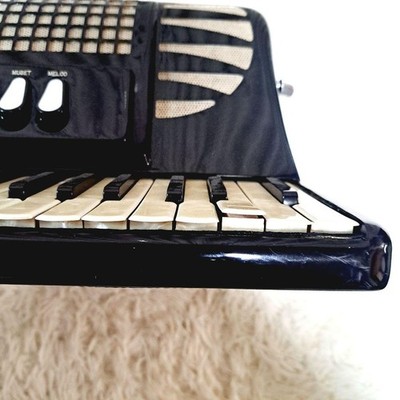 Excelsior 303 Accordion 37 Keys 120 Bass Made in Italy | eBay