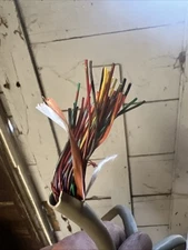 10' Comtran Corp. Cable 1800241 25 Pair 24 AWG Wire