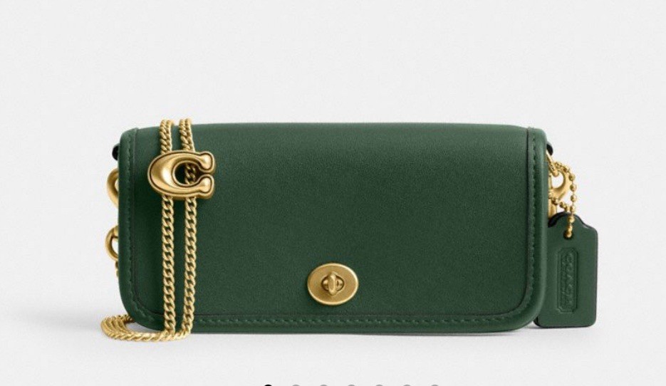 Coach Glovetanned Leather Dinky Bag 14 Chain Crossbody NWT CZ108