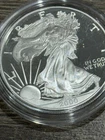 2000 P American Silver Eagle Bullion Proof $1 Coin Collectible