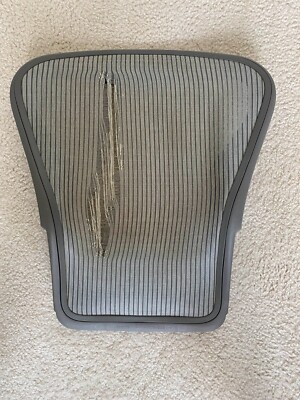 Herman Miller Aeron Size B Back Rest with Titanium Frame