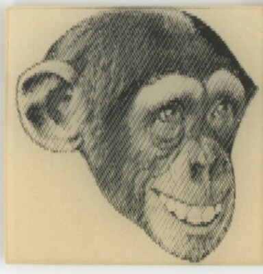 Smiling Chimpanzee 1950's Small VARI-VUE Motion Lenticular Flicker 1'' x 7/8''