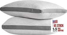 Pillows Size Set of 2, Rayon Derived from Bamboo Removable Cover, Queen Grey