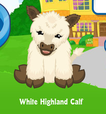 Webkinz White Highland Calf Virtual Adoption Code Only Messaged Webkinz Cow Cute