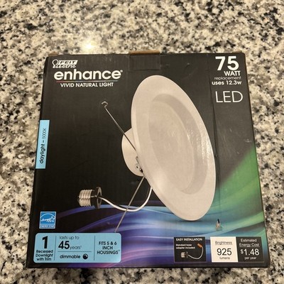 Feit Electric DAYLIGHT 5000K 75W Daylight White
