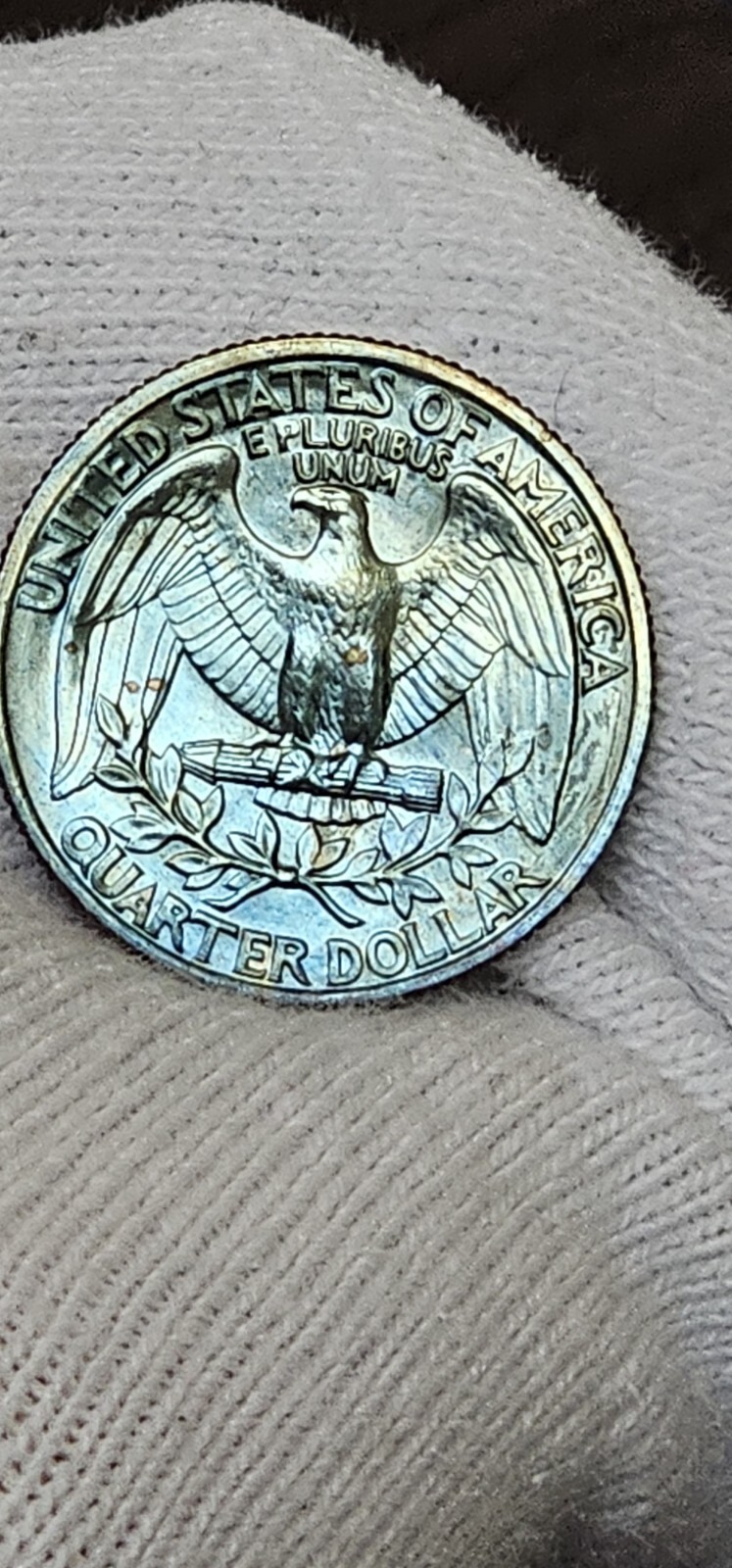 Picture 18 of 19