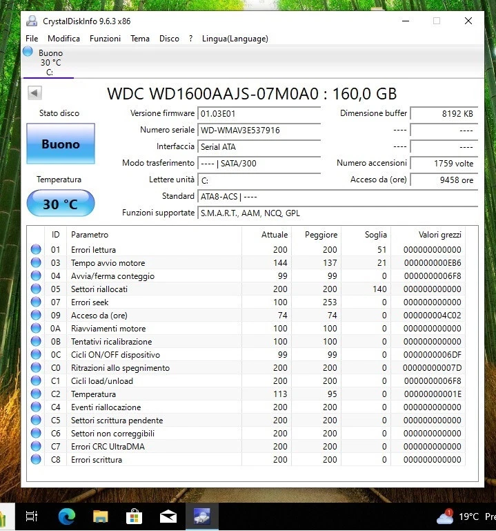 Hard Disk Western Digital 160GB SATA 3.5" WD1600AAJS usato, in ottime condizioni - Immagine 3 di 4