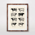 Vintage Cow Breeds Farm Animal Chart Art Print Agriculture Poster Wall Picture
