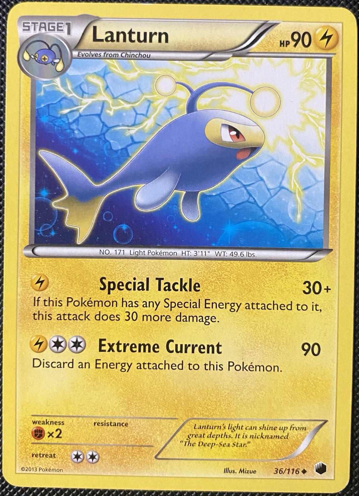 Lanturn 36/116 Plasma Freeze Regular