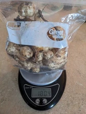 1 lb of Sunchokes/jerusalem artichoke tubers