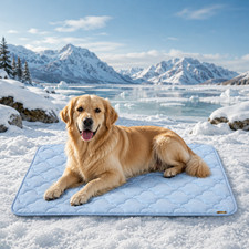 Cooling Mat for Large Dogs, Ultra-Breathable Summer Pet Pad 41x27