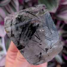 Black Tourmaline Freeform Rutile Clear Quartz Crystal Gemstone Reiki