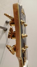D'ANGELICO Deluxe Bedford BK BPG TR Electric Guitar