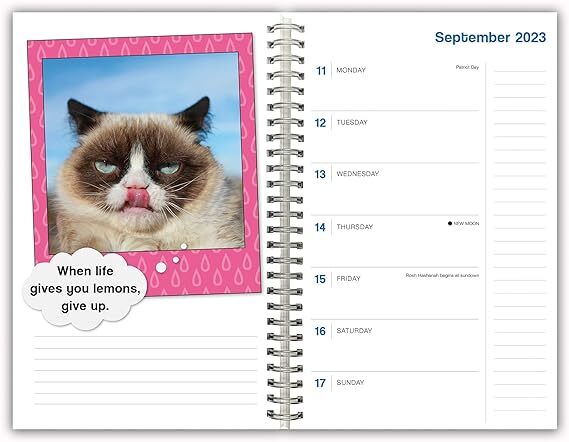 GRUMPY CAT- 2024 ENGAGEMENT PLANNER CALENDAR - BRAND NEW -3682 | eBay