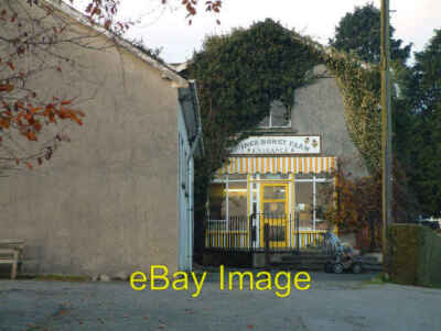 Foto 6x4 Quitten Honigfarm an der Nordwestecke von South Molton c2005