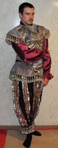 Professional Ballet Dance Knight/Chest Shield