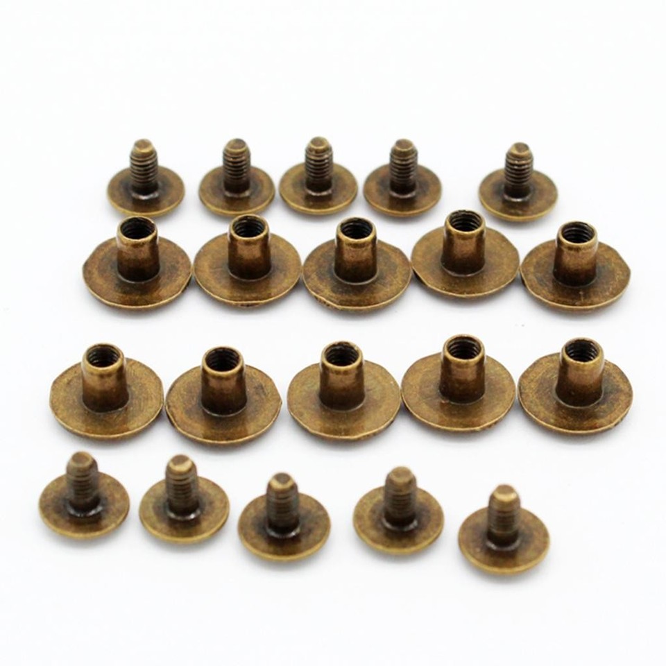 30Pcs Screw Rivet Flat Head Style | eBay Australia