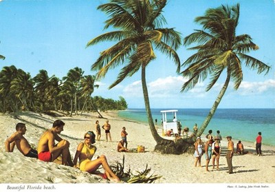 Postcard Florida Miami Crandon Park Beach Lifeguard Shack Swimmers John Hinde