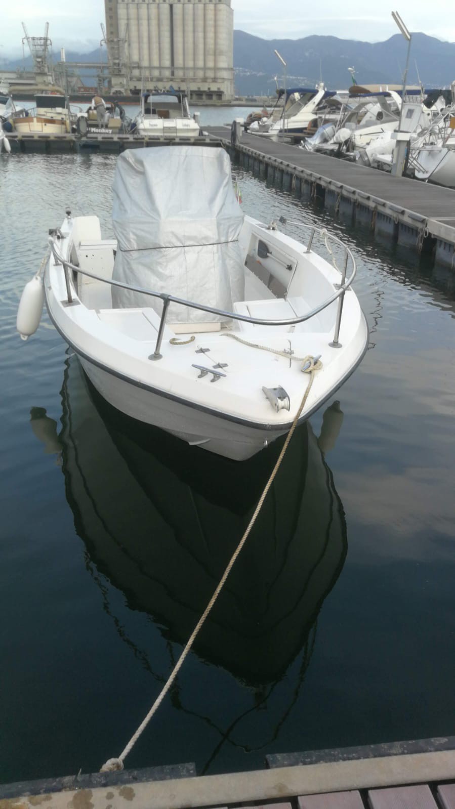 Mercury 40 Pro Barca a motore open bianca con fuoribordo Mercury 40 Pro foto 4
