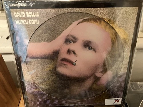 David Bowie - Hunky Dory limited edition picture disc, excellent, still sealed