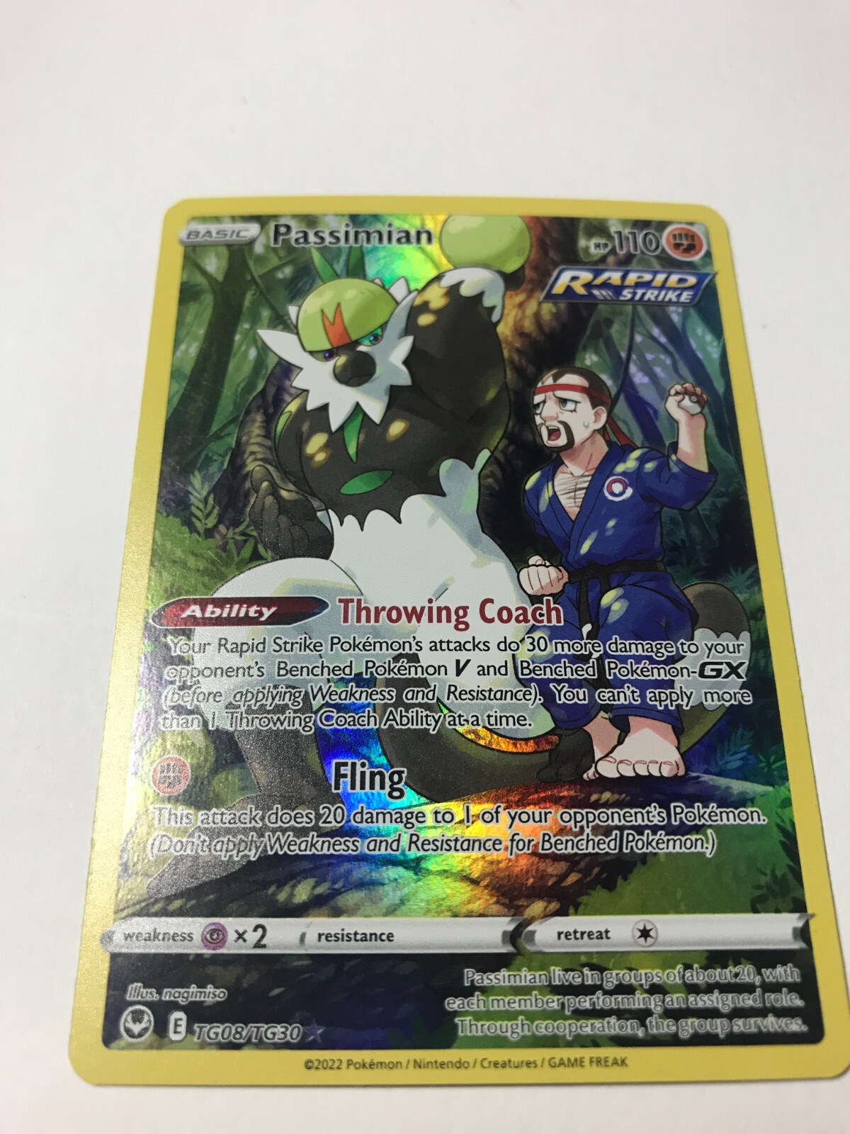 Passimian TG08/TG30 Silver Tempest NM Full Art Pokemon Card