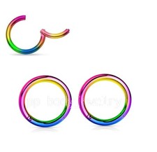 2pcs. 20G Hinged Seamless Segment Ring Nose Ear Cartilage Labret Septum
